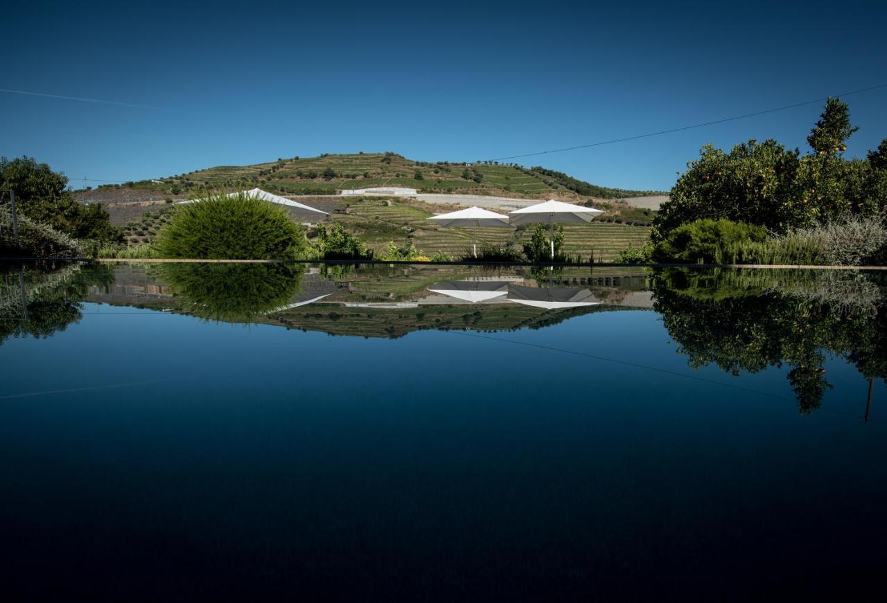 Quinta Do Vallado - Douro Wine Hotel Пезу-да-Регуа Екстер'єр фото
