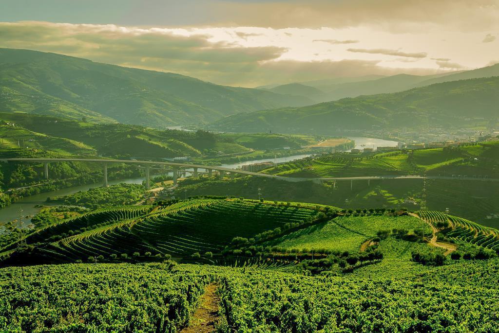 Quinta Do Vallado - Douro Wine Hotel Пезу-да-Регуа Екстер'єр фото