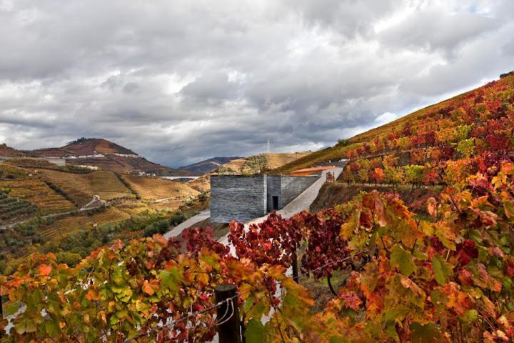 Quinta Do Vallado - Douro Wine Hotel Пезу-да-Регуа Екстер'єр фото